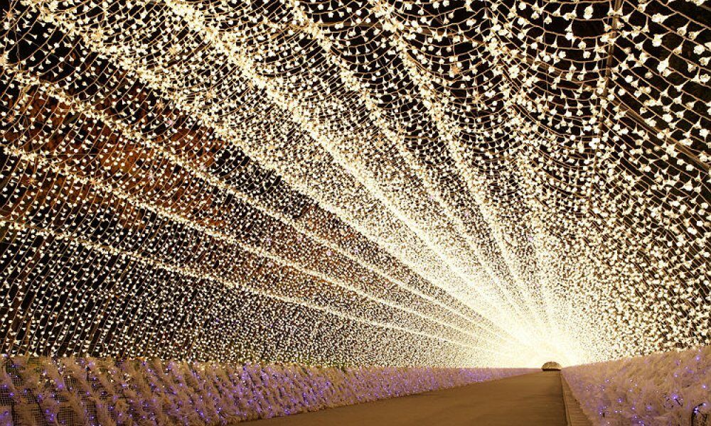 日本東京二日遊 <span style=font-size:24px;>輝煌絕景☆名花之里燈飾匯演及伊勢神宮外宮・内宮參拜＆伊勢灣遊船兩天遊＜10～2月出發＞</span>