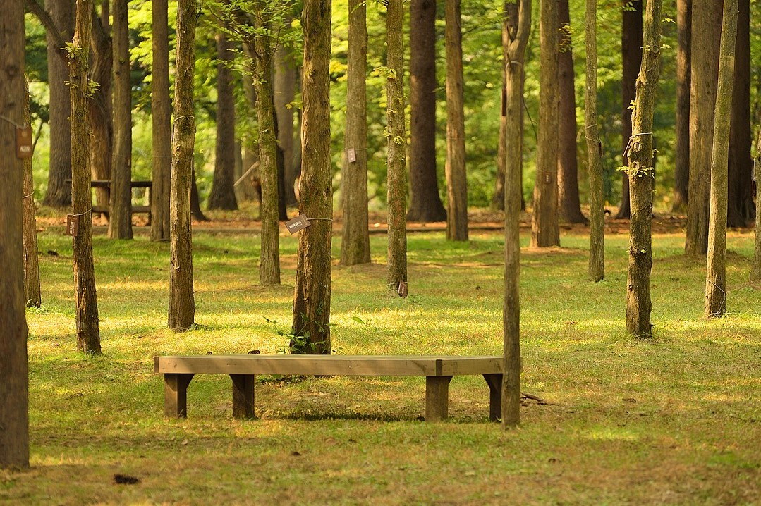 韓國首爾一日遊 <strong>首爾—江村鐵路自行車—南怡島</strong><strong>—小法國村—首爾</strong><br />