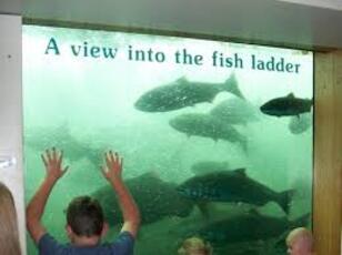 2026年 4/3 南義大利、那波里古王國深度遊9日