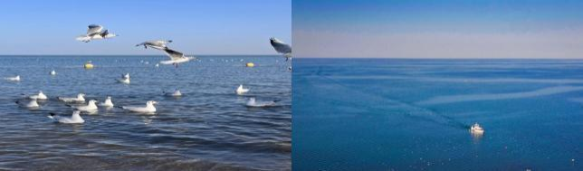 2026年 6/13 新東方快車-南北疆探秘西域13日之旅 库车 - 库尔勒 - 博斯腾湖 - 阿勒泰