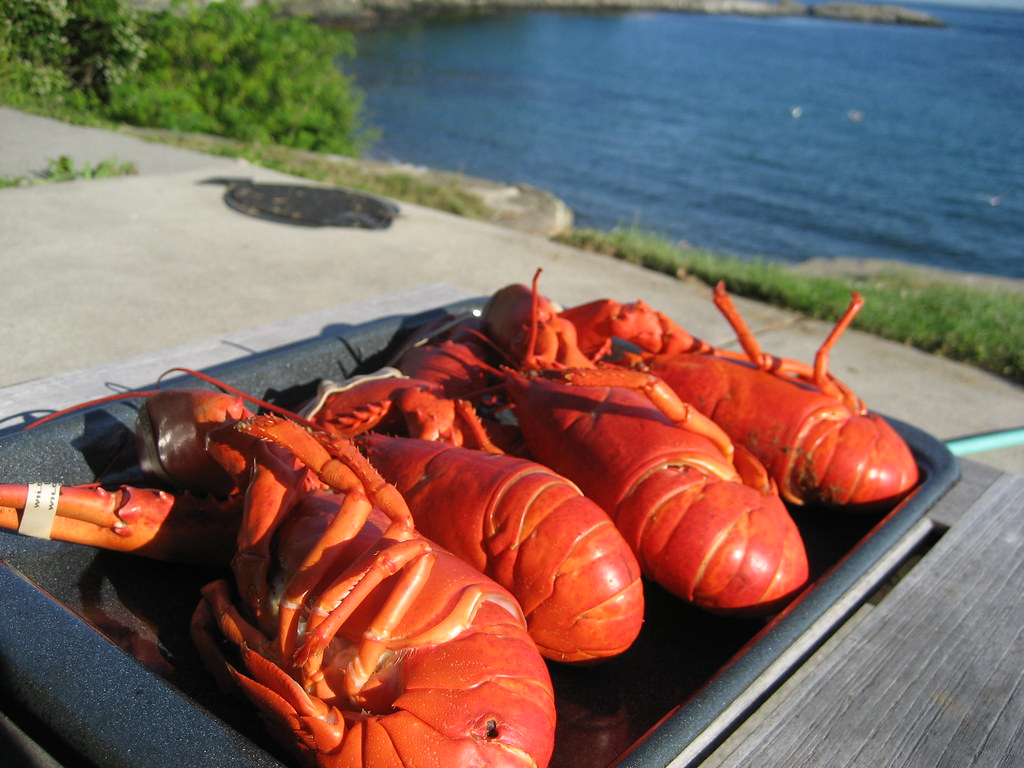 2025年 愛德華王子島PEI –9/10日 哈利法斯－愛德華王子島－紐賓士域－大龍蝦－孟敦市