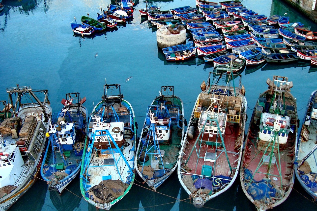 2025年 11/27 北非摩洛哥10日 卡薩布蘭卡(Casablanca)返回溫暖的家 原居地(洛杉磯)