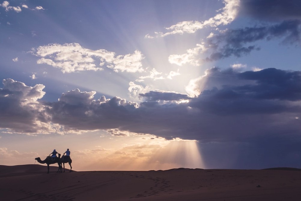 2025年 11/27 北非摩洛哥10日 梅祖卡(Mezouga)托德拉峽谷(Todra gorges)達代斯(Dades)